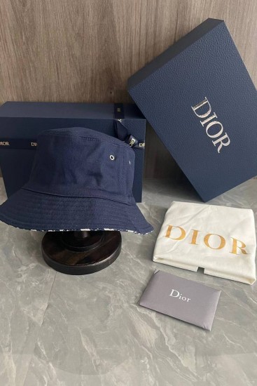 Панама Dior