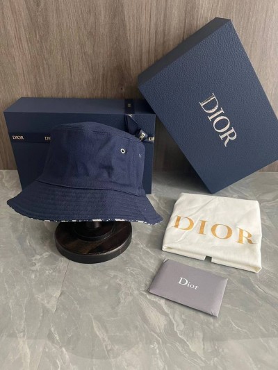 Панама Dior