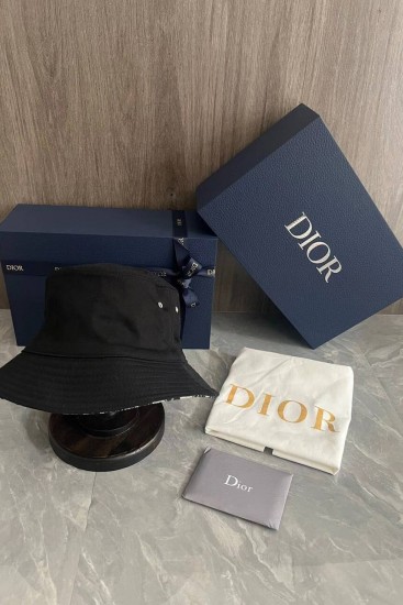 Панама Dior