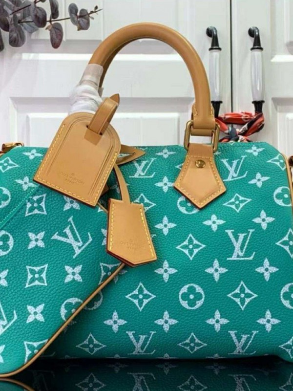 Сумка Louis Vuitton