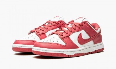 Nike Dunk Low White/Archeo Pink (W)