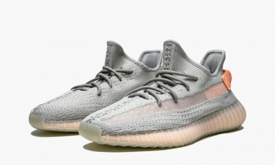 Adidas Yeezy Boost 350 V2 "True Form"