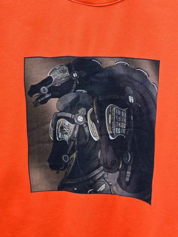 Толстовка Hermes
