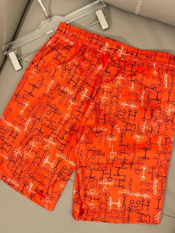 Шорты Hermes