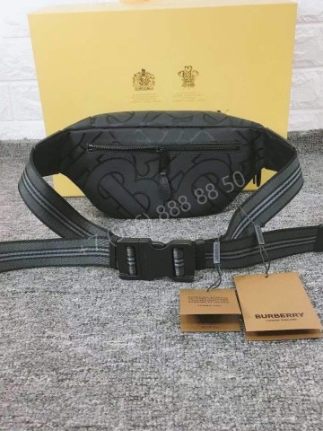 Поясная сумка Burberry