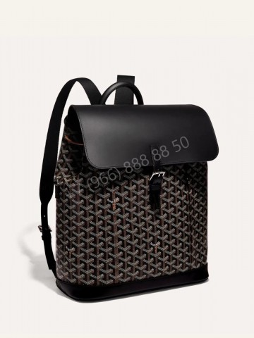 Рюкзак Goyard