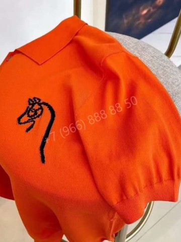 Поло Hermes